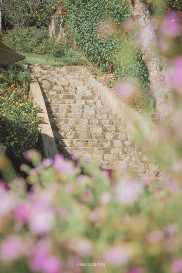 Biet Thu Trang Da Lat Vila Exterior foto