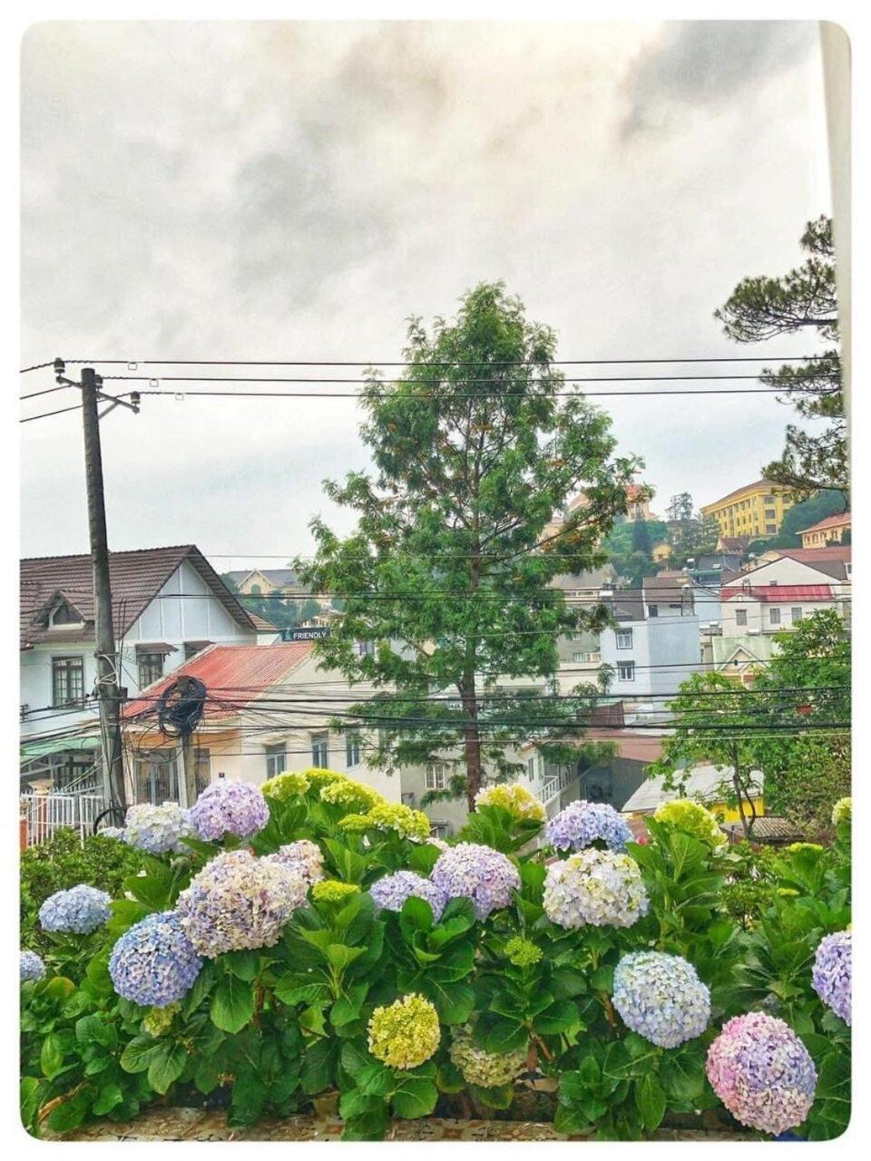 Biet Thu Trang Da Lat Vila Exterior foto